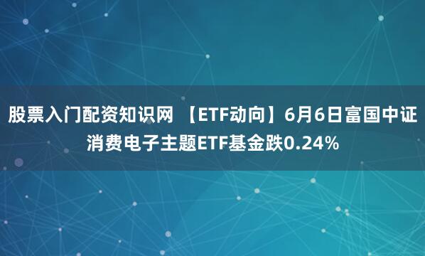 股票入门配资知识网 【ETF动向】6月6日富国中证消费电子主题ETF基金跌0.24%