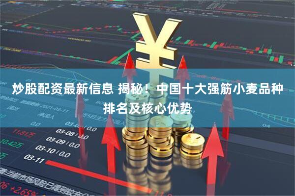炒股配资最新信息 揭秘！中国十大强筋小麦品种排名及核心优势