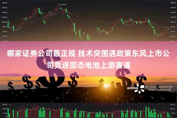 哪家证券公司最正规 技术突围遇政策东风上市公司竞逐固态电池上游赛道